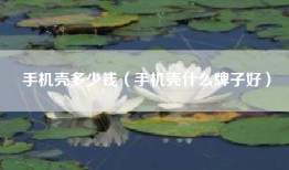 手机壳多少钱（手机壳什么牌子好）