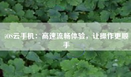 iOS云手机：高速流畅体验，让操作更顺手