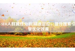 SEO人群属性分析,精准定位，提升搜索引擎优化效果