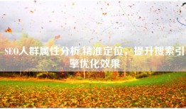 SEO人群属性分析,精准定位，提升搜索引擎优化效果