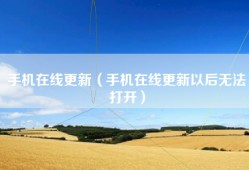 手机在线更新（手机在线更新以后无法打开）