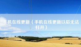 手机在线更新（手机在线更新以后无法打开）