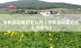 手机自动重启怎么办（手机自动重启怎么办华为）