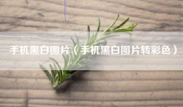 手机黑白图片（手机黑白图片转彩色）