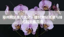 郑州网站推广优化，提升网站流量与排名的全面指南