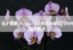 关于苹果CMS player.js文件挂马留后门的问题及解决