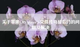 关于苹果CMS player.js文件挂马留后门的问题及解决