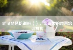武汉琵琶培训班（），武汉大的琵琶培训机构