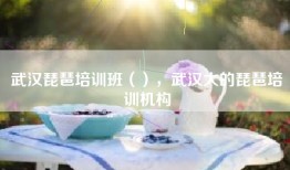 武汉琵琶培训班（），武汉大的琵琶培训机构