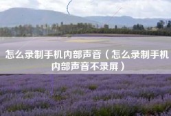 怎么录制手机内部声音（怎么录制手机内部声音不录屏）