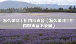 怎么录制手机内部声音（怎么录制手机内部声音不录屏）
