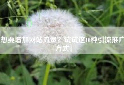 想要增加网站流量？试试这10种引流推广方式！