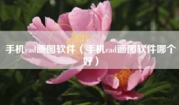 手机cad画图软件（手机cad画图软件哪个好）