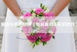 模拟手机的软件（电脑模拟手机的软件）