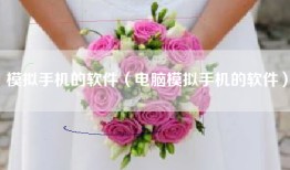模拟手机的软件（电脑模拟手机的软件）