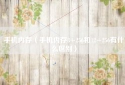 手机内存（手机内存8+256和12+256有什么区别）
