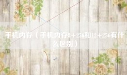 手机内存（手机内存8+256和12+256有什么区别）