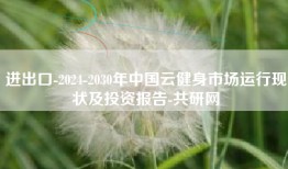 进出口-2024-2030年中国云健身市场运行现状及投资报告-共研网
