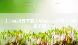 【EDGE抖音下载】华为EDGE抖音32.3.0免费下载