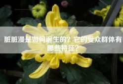 脏脏漫是如何诞生的？它的受众群体有哪些特征？