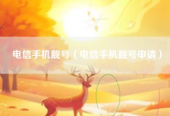 电信手机靓号（电信手机靓号申请）