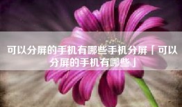 可以分屏的手机有哪些手机分屏「可以分屏的手机有哪些」