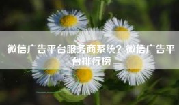 微信广告平台服务商系统？微信广告平台排行榜