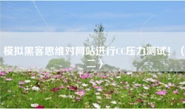 模拟黑客思维对网站进行CC压力测试！（二）