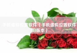 手机虚拟位置软件（手机虚拟位置软件旧版本）