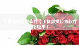 手机虚拟位置软件（手机虚拟位置软件旧版本）