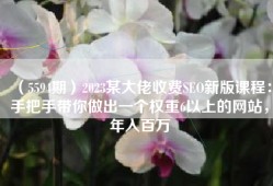 （5594期）2023某大佬收费SEO新版课程：手把手带你做出一个权重6以上的网站，年入百万