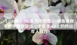 （5594期）2023某大佬收费SEO新版课程：手把手带你做出一个权重6以上的网站，年入百万