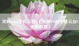 灵眸osmo手机云台2（灵眸OSMO手机云台2使用教程）