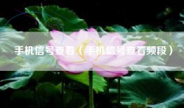手机信号查看（手机信号查看频段）