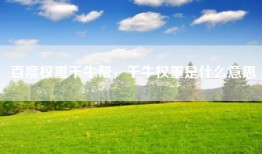 百度权重千牛帮，千牛权重是什么意思