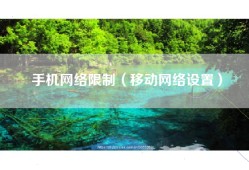手机网络限制（移动网络设置）