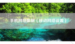 手机网络限制（移动网络设置）