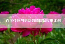 百度快照的更新影响网站权重比例