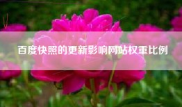 百度快照的更新影响网站权重比例