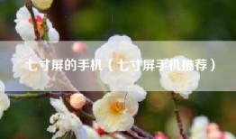 七寸屏的手机（七寸屏手机推荐）
