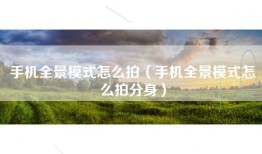 手机全景模式怎么拍（手机全景模式怎么拍分身）