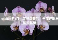 2024年12月4日小黄蜂最新款，全面评测与深度解析