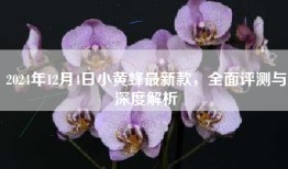 2024年12月4日小黄蜂最新款，全面评测与深度解析
