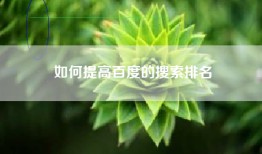 如何提高百度的搜索排名