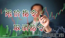 详细分析现价指令和取消指令的意思