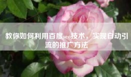 教你如何利用百度seo技术，实现自动引流的推广方法