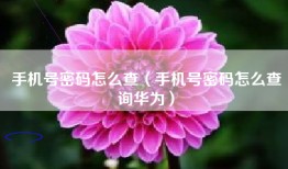 手机号密码怎么查（手机号密码怎么查询华为）