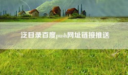 泛目录百度push网址链接推送