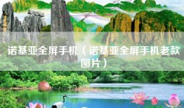 诺基亚全屏手机（诺基亚全屏手机老款图片）