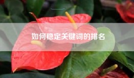如何稳定关键词的排名